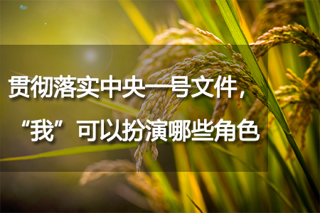 貫徹落實(shí)中央一號(hào)文件，“我”可以扮演哪些角色？